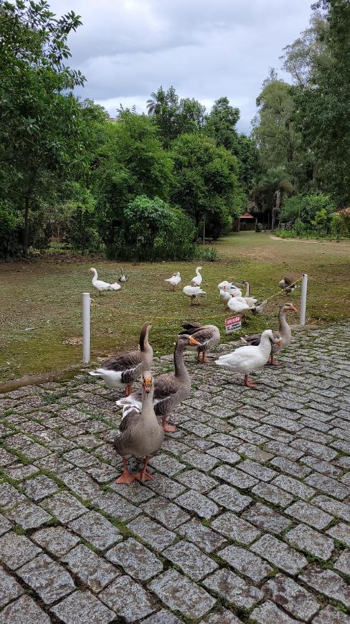 Condominio Resort Na Cidade Das Aguas Sulfurosas Poços de Caldas Eksteriør billede